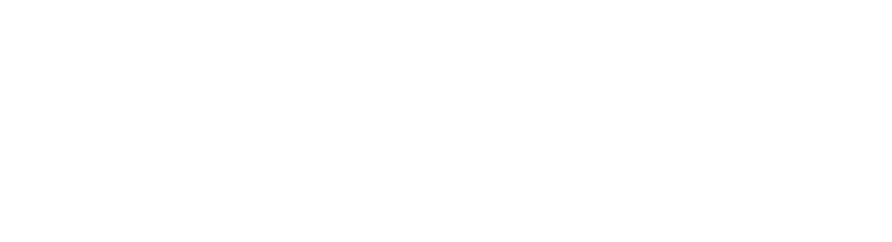 orbintis wordmark